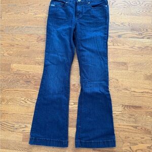 Cinch Lynden Trouser Flare Jeans